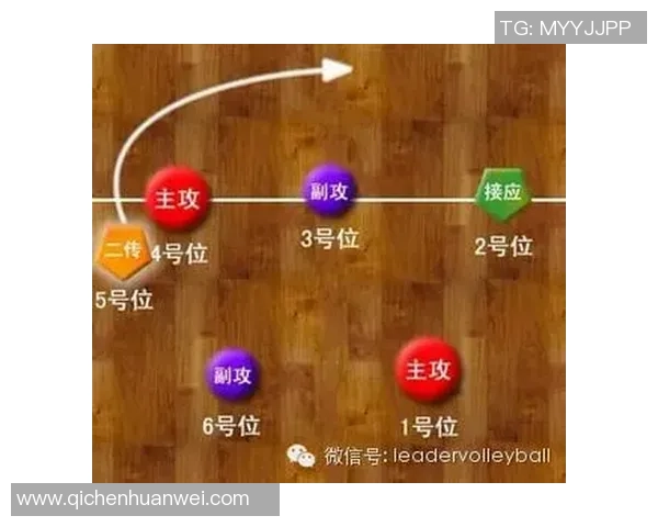 排球热点：解读成都排球队的快攻